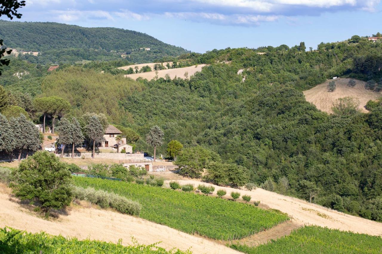 Agriturismo Colle Pu Pieve San Nicolo Екстериор снимка