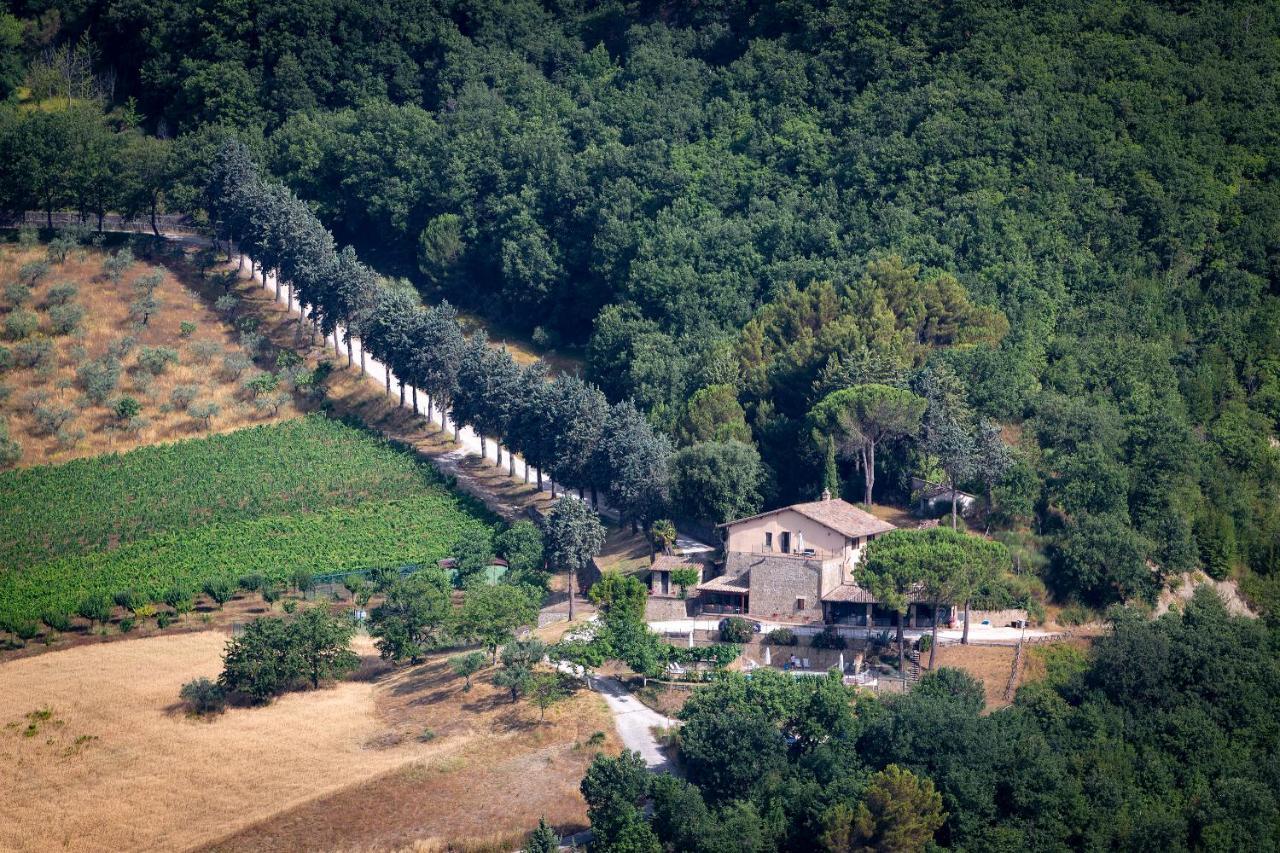 Agriturismo Colle Pu Pieve San Nicolo Екстериор снимка
