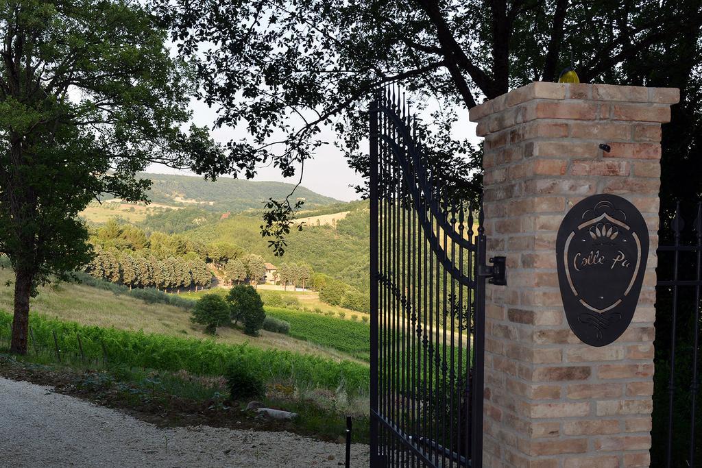 Agriturismo Colle Pu Pieve San Nicolo Екстериор снимка