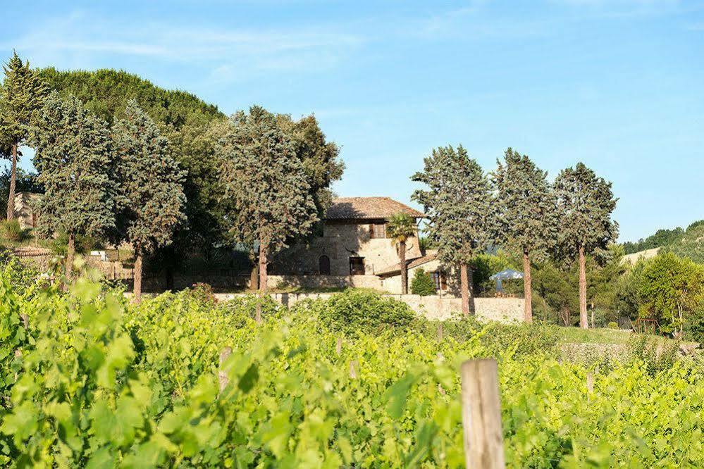 Agriturismo Colle Pu Pieve San Nicolo Екстериор снимка