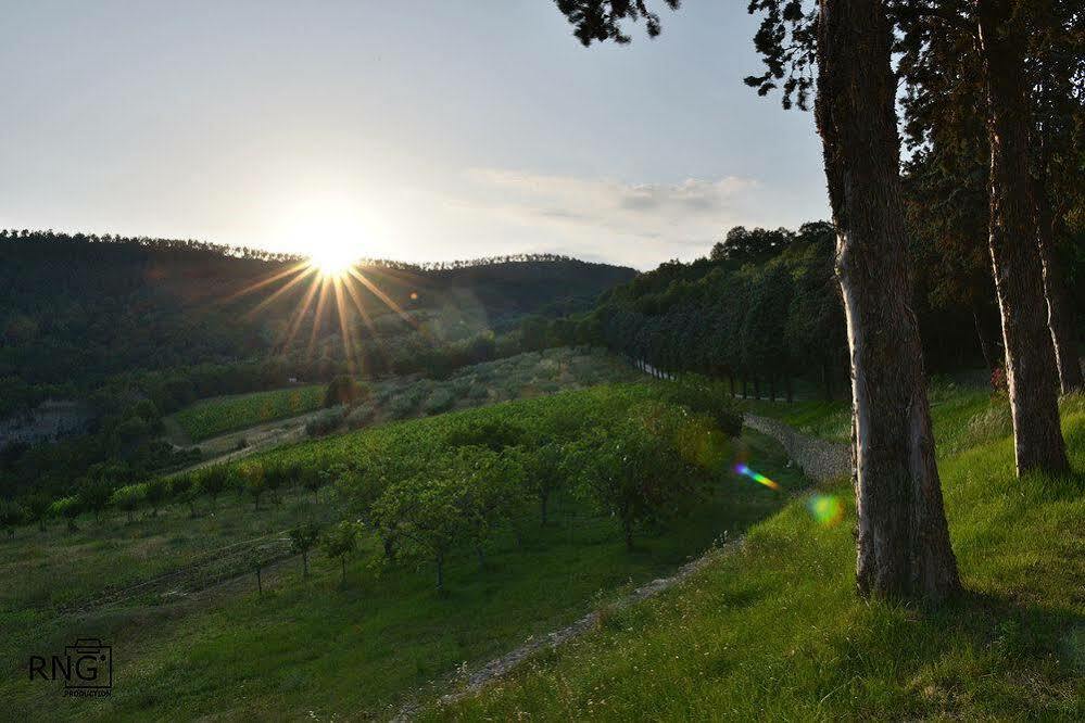 Agriturismo Colle Pu Pieve San Nicolo Екстериор снимка
